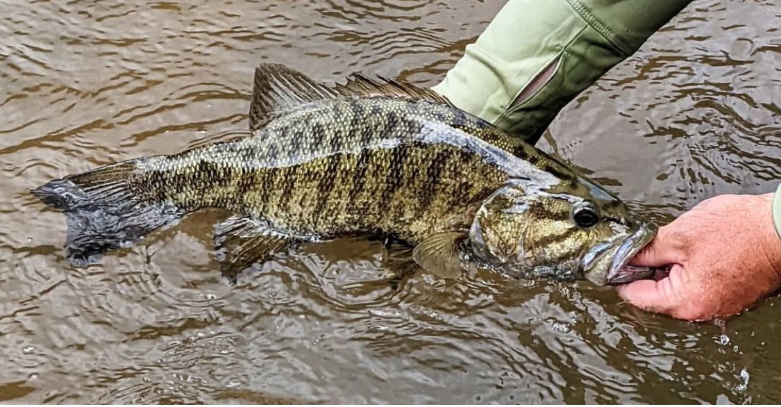 Smallmouth Bass Trip